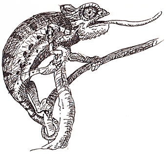 Humor, Horror, and Heavy Metal: Here Lizard, Lizard, Lizard.